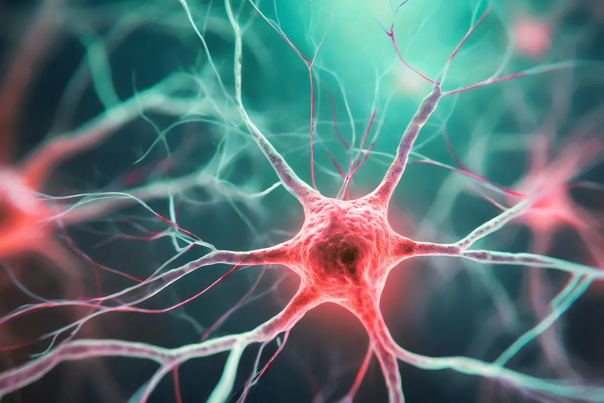 Schemadarstellung Nervenbahnen und Synapse