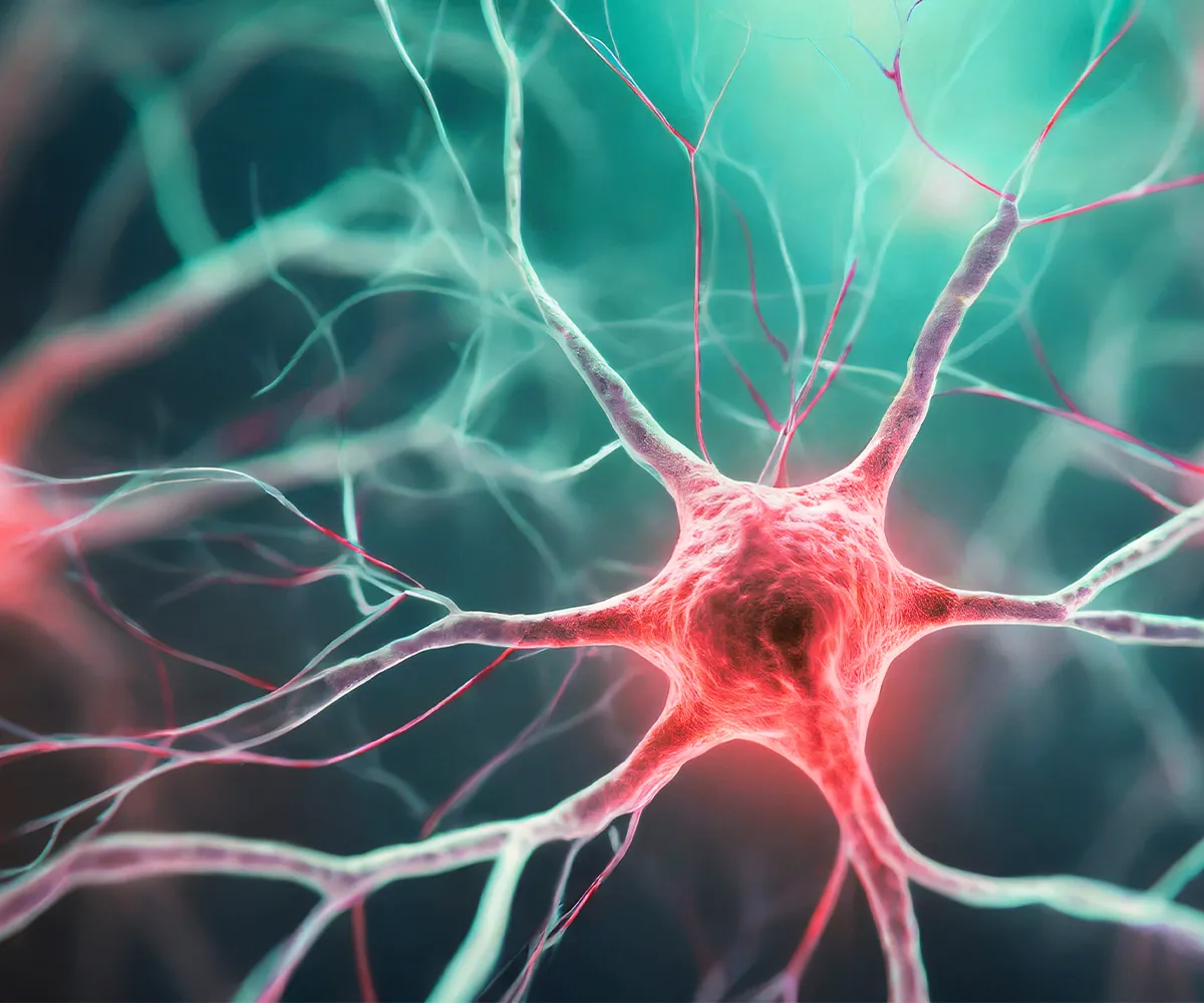 Schemadarstellung Nervenbahnen und Synapse